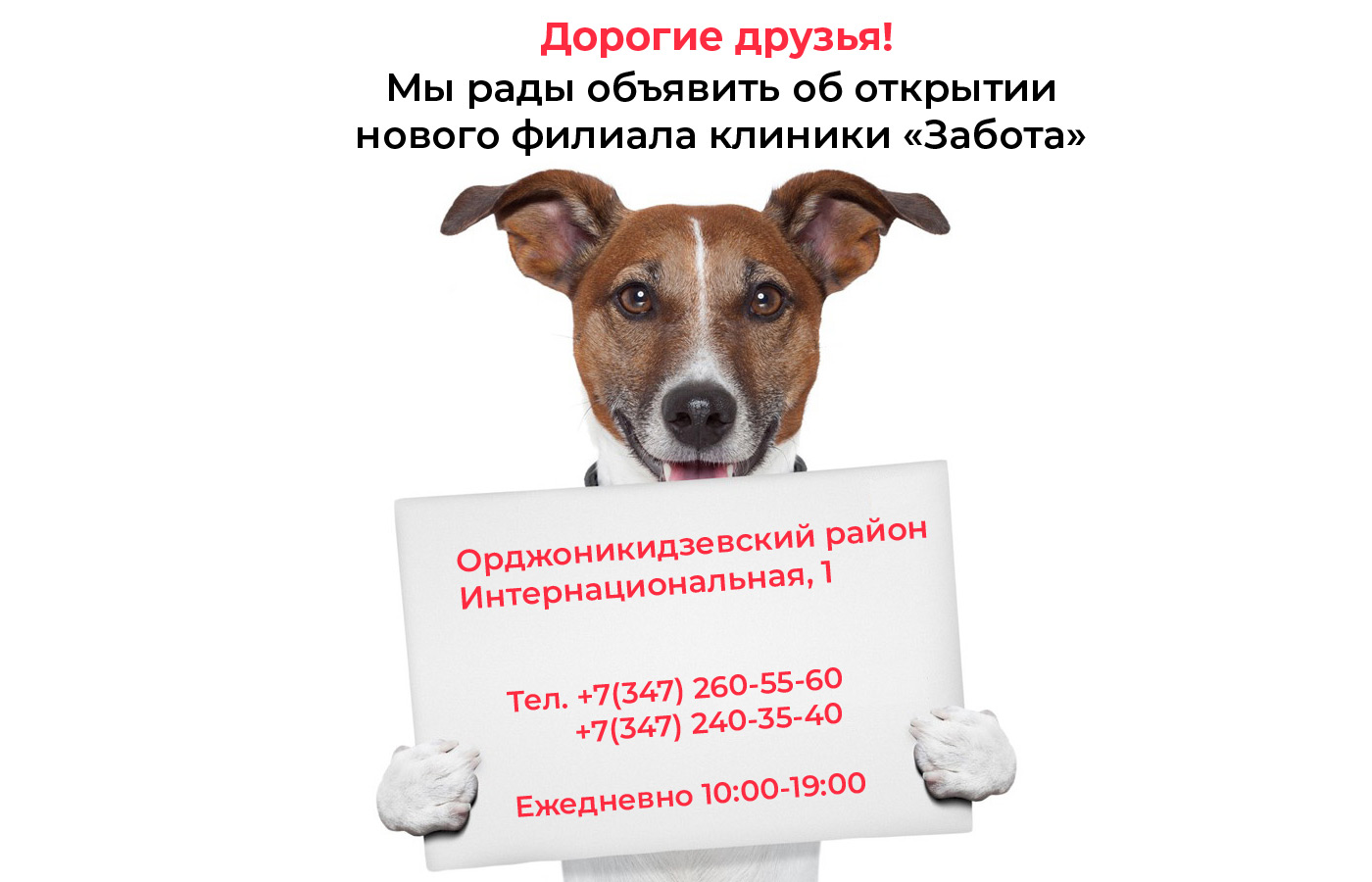Ветклиника забота. Ветклиника забота уфа. Ветклиника забота уфа первомайская 83. Ветклиника забота тимашевск. Первомайская 83 ветеринарка уфа.